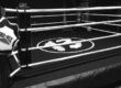 Boxing Training and Fitness