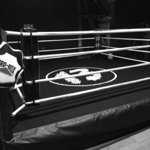 Boxing Training and Fitness