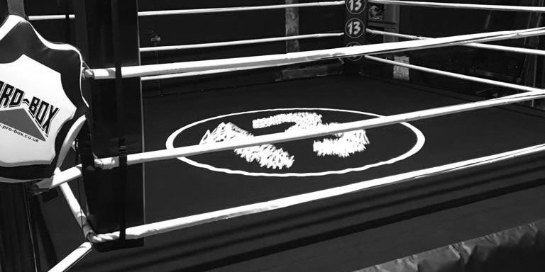 Boxing Training and Fitness Boxing Training and Fitness