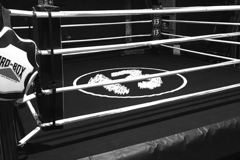 Boxing Training and Fitness