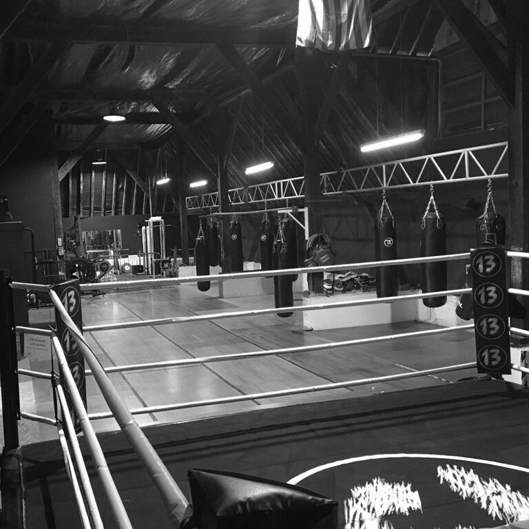 Boxing Training and Fitness