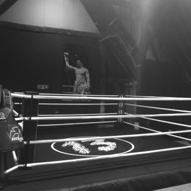 Boxing Training and Fitness